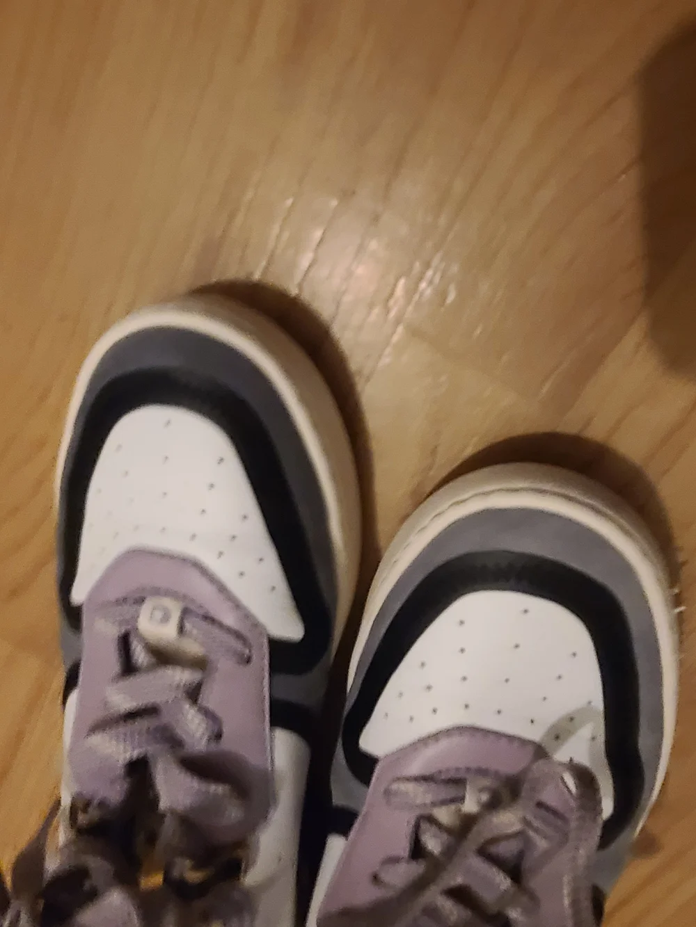 Coach Men's Lavender, Gray & Black Low-Top Sneaker